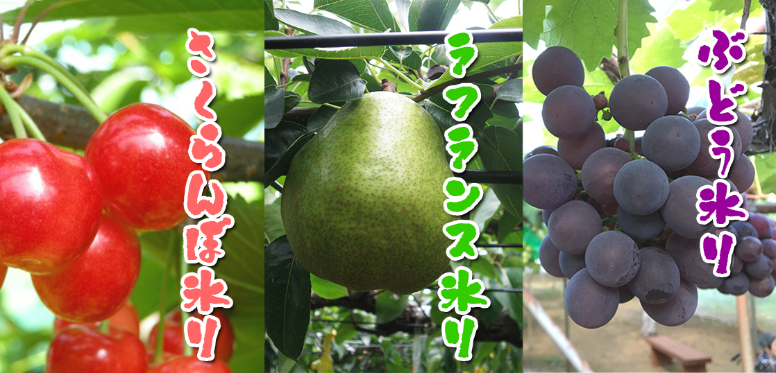 山形フルーツ氷り